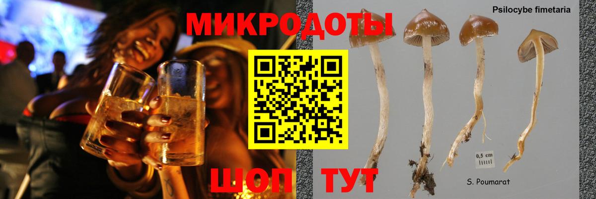 Галлюциногенные грибы мухоморы Владимир